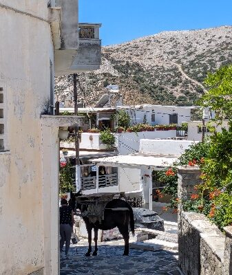 decouverte-cyclades-voyage